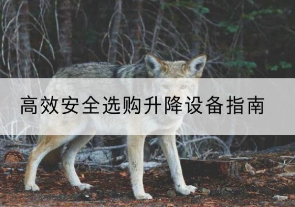 诸城升降货梯厂家推荐-*安全选购升降设备指南