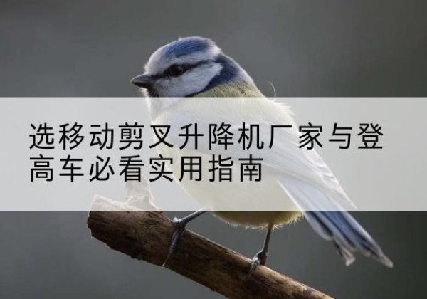 诸城电动升降机厂家-选移动剪叉升降机厂家与登高车必看实用指南