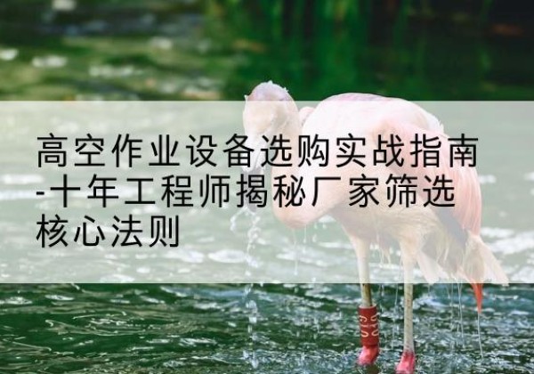 诸城剪叉式升降机厂家-高空作业设备选购实战指南-十年工程师揭秘厂家筛选核心法则